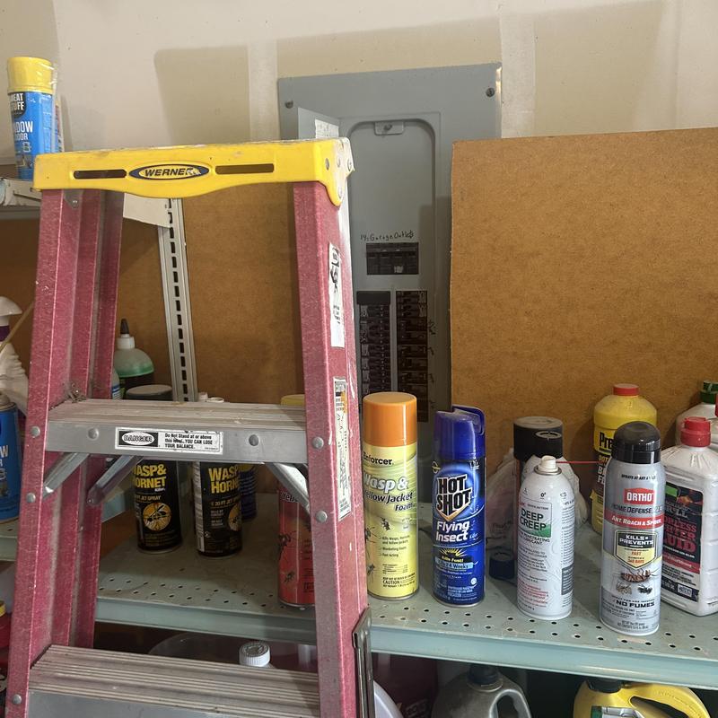 Electrical panel with ladder and insect sprays on shelves