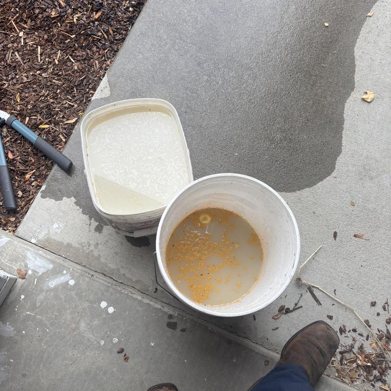 Kitchen sink grease clog with dirty water buckets