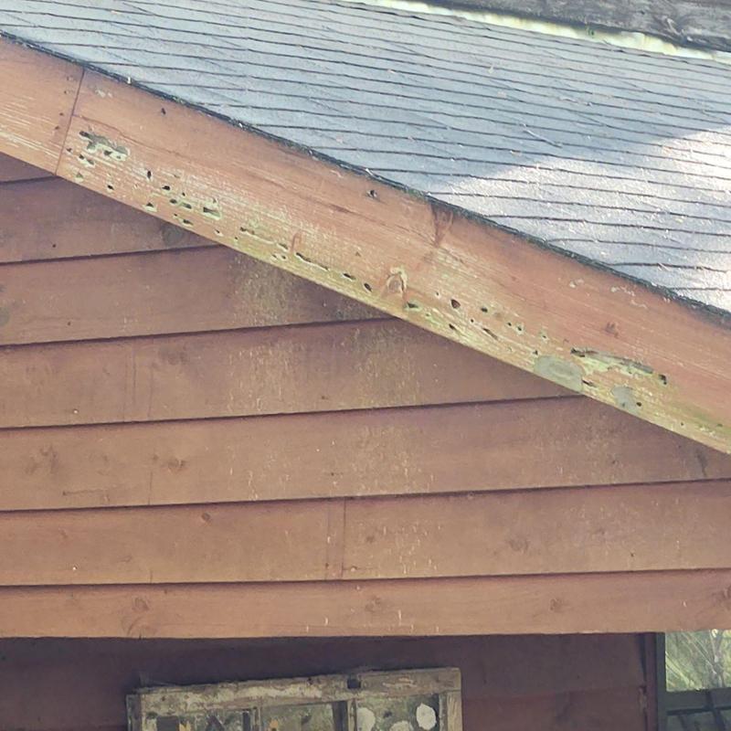 Wood siding and fascia with damage and wear