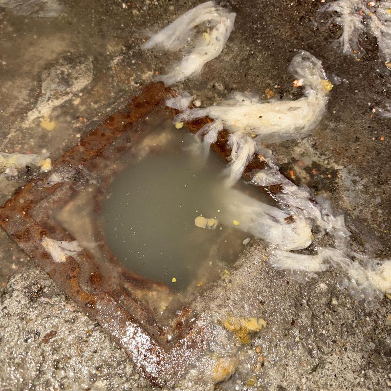 Sewer cleanout with standing water and debris buildup