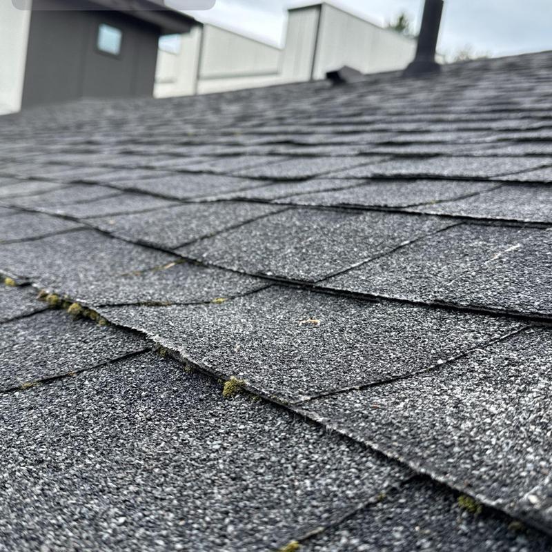 Asphalt roof shingles with lifting edges and moss