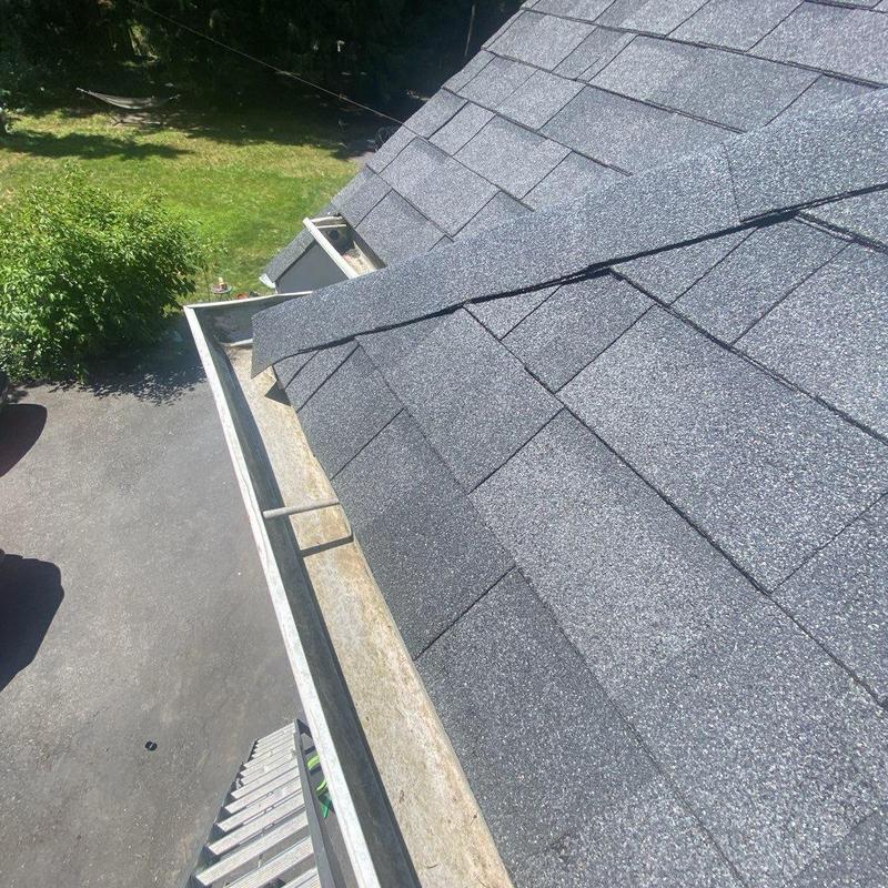 Gutter system with roof shingles and moss treatment