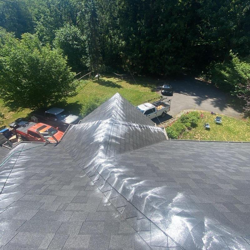 Roof shingles with moss treatment and cleaning