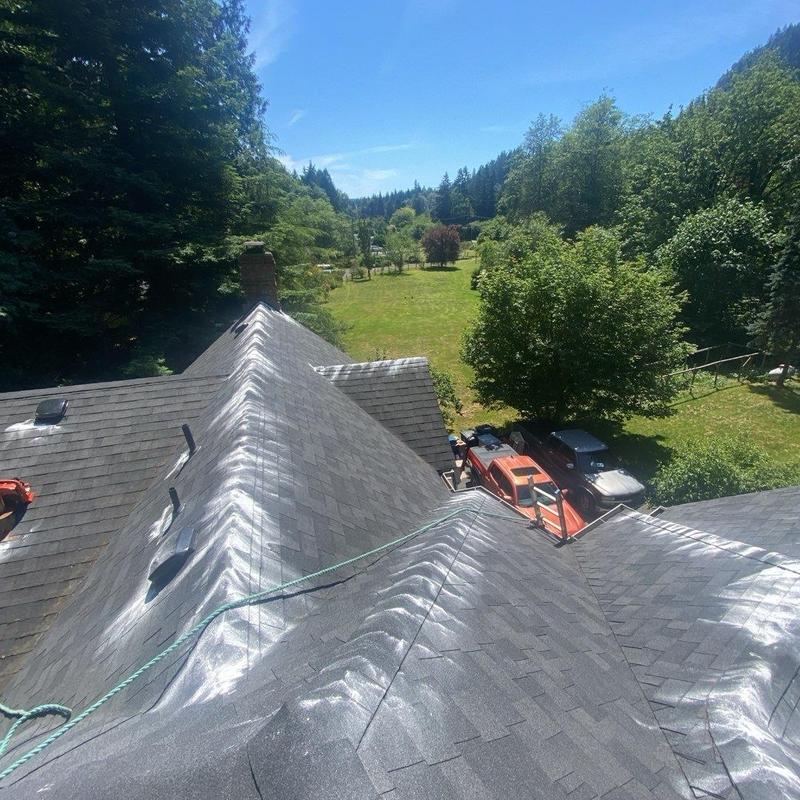 Asphalt shingle roof with moss treatment and cleaning
