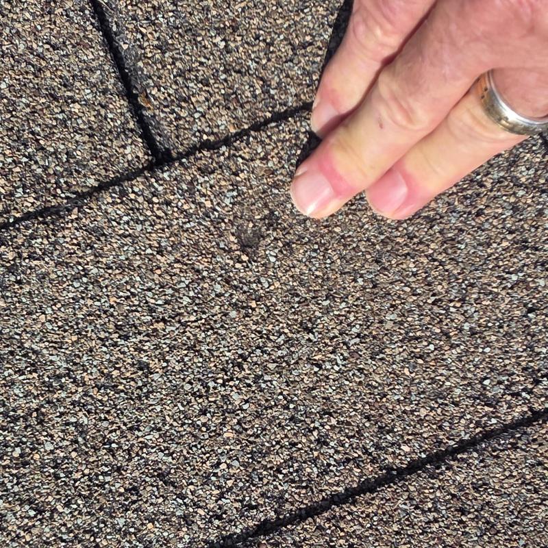 Asphalt shingle with hail damage close-up inspection