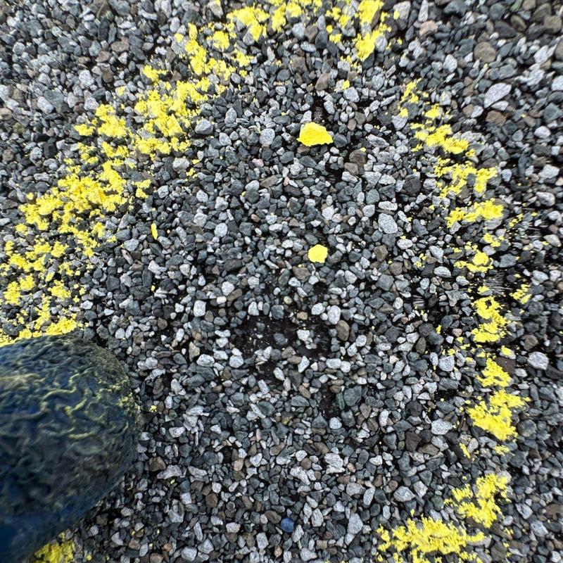 Roof shingle hail damage marked with yellow spray paint