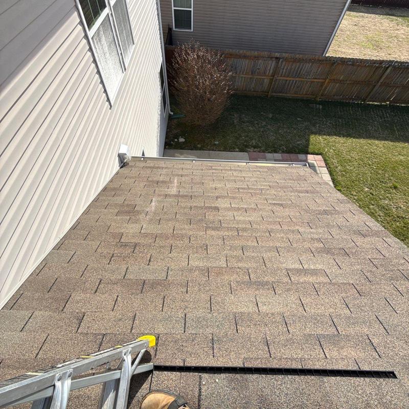 Asphalt shingle roof with visible hail damage and ladder