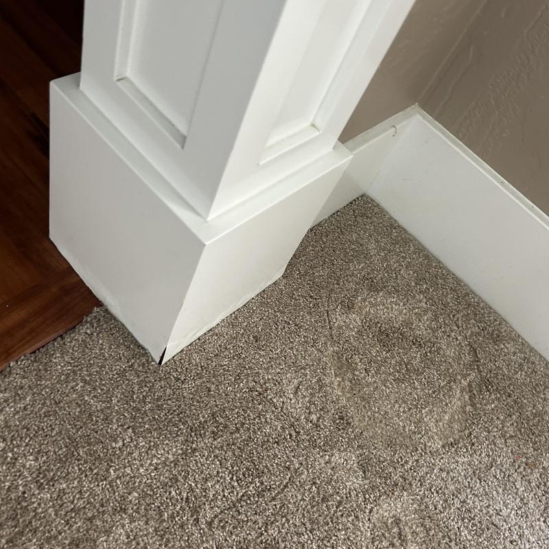 Carpet water stain near column baseboard trim