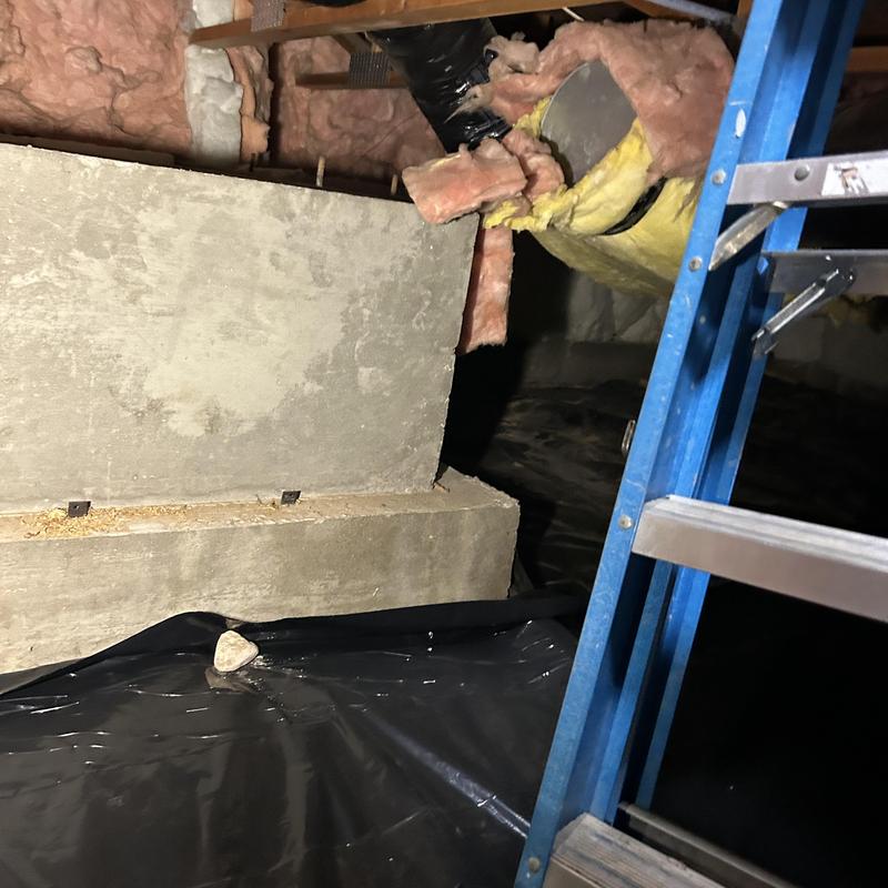 Crawl space with insulation and moisture barrier installation