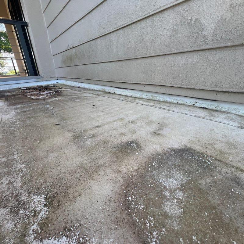 Flat roof deck with wear and algae stains Flat roof deck with wear and algae stains