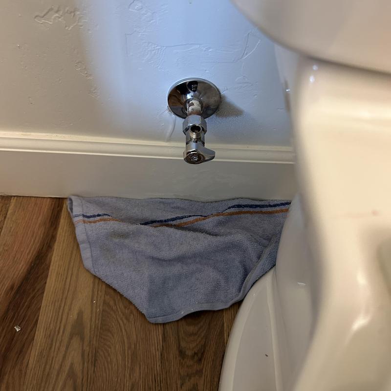 Toilet compression angle stop installation near floor Toilet compression angle stop installation near floor