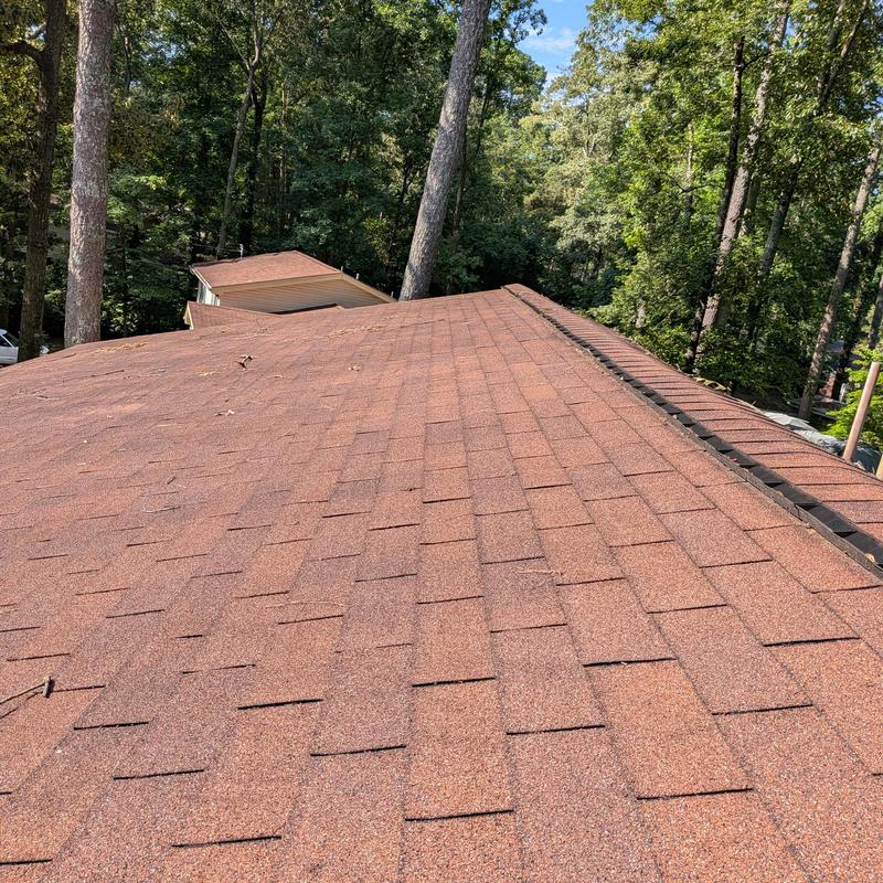Three tab asphalt shingle roof inspection with trees nearby