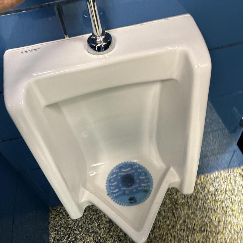 Commercial urinal with flush valve and blue screen filter Commercial urinal with flush valve and blue screen filter