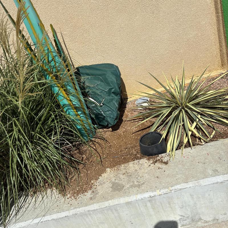 Irrigation valve box and nearby landscaping repair Irrigation valve box and nearby landscaping repair