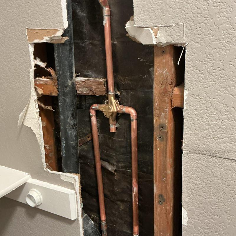 Moen Posi Temp shower valve and copper pipes