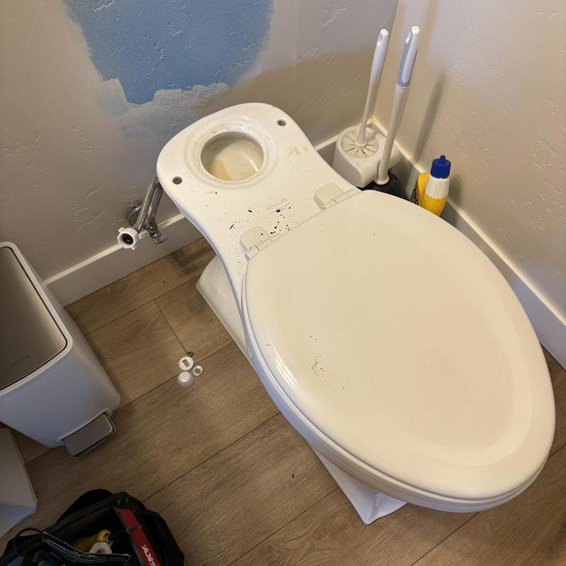 Toilet bowl with seat awaiting tank installation