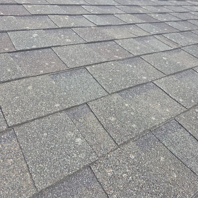Architectural shingle roof with minor wear and weathering