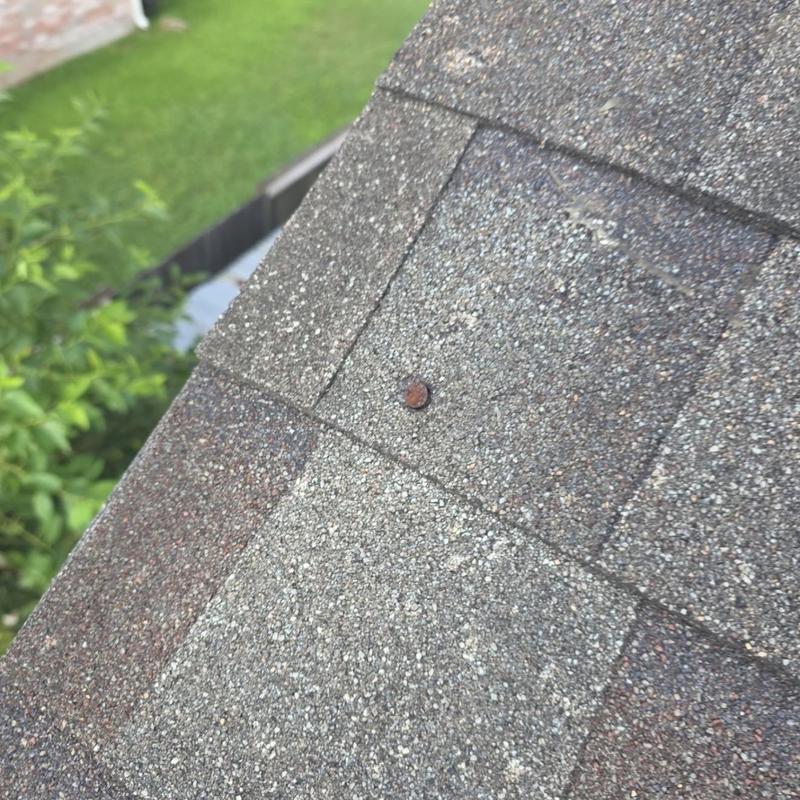 Architectural shingle roof with exposed fastener detail
