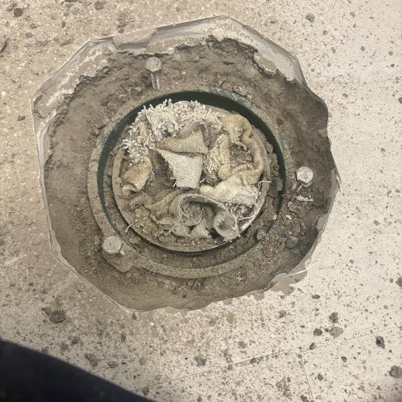 Toilet flange with debris and damaged wax ring