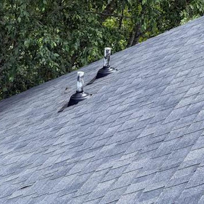 Roof shingles with sealed vent pipe flashing and gutter guards
