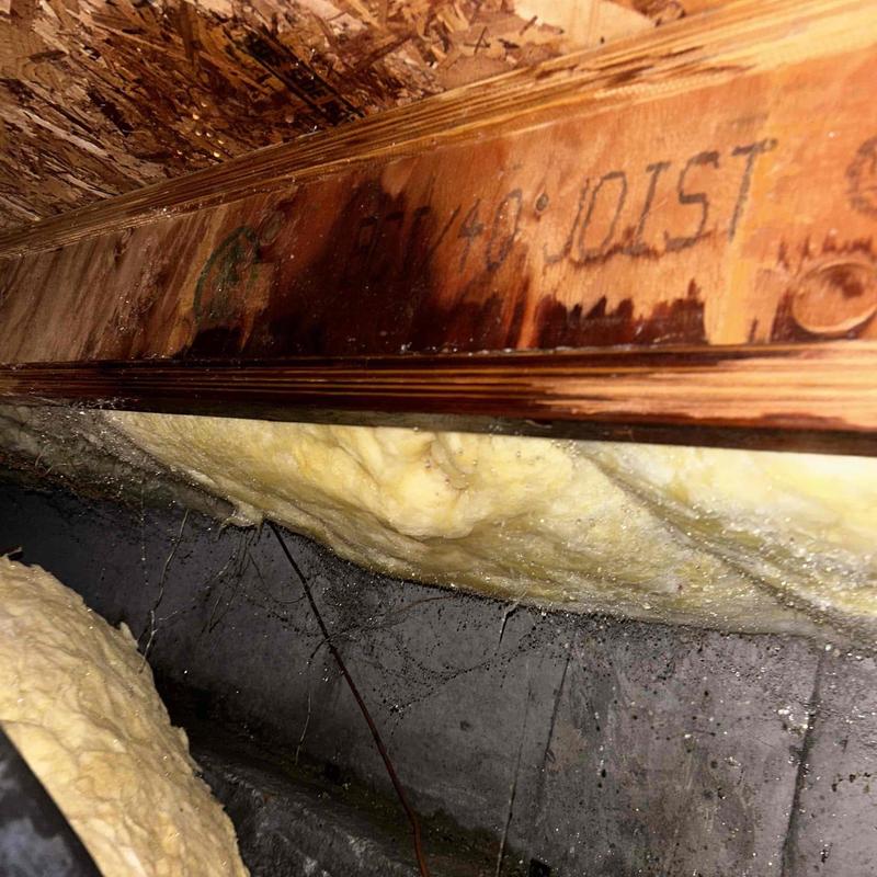Wood beam with moisture damage in crawl space Wood beam with moisture damage in crawl space
