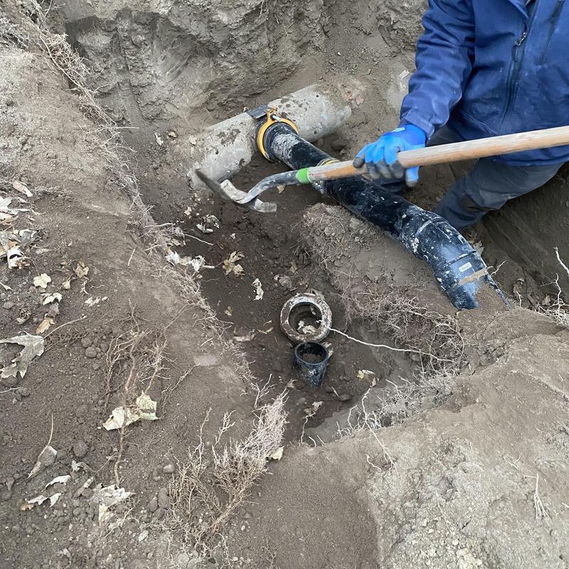 Cleanout pipe excavation and root removal in yard Cleanout pipe excavation and root removal in yard