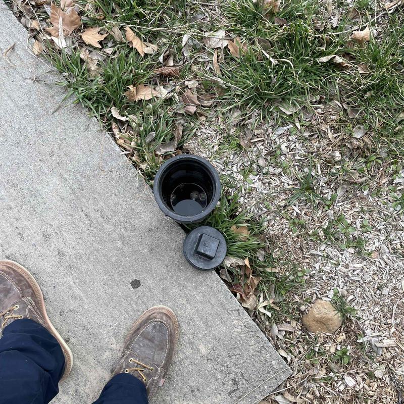 Mainline cleanout with open lid by sidewalk Mainline cleanout with open lid by sidewalk