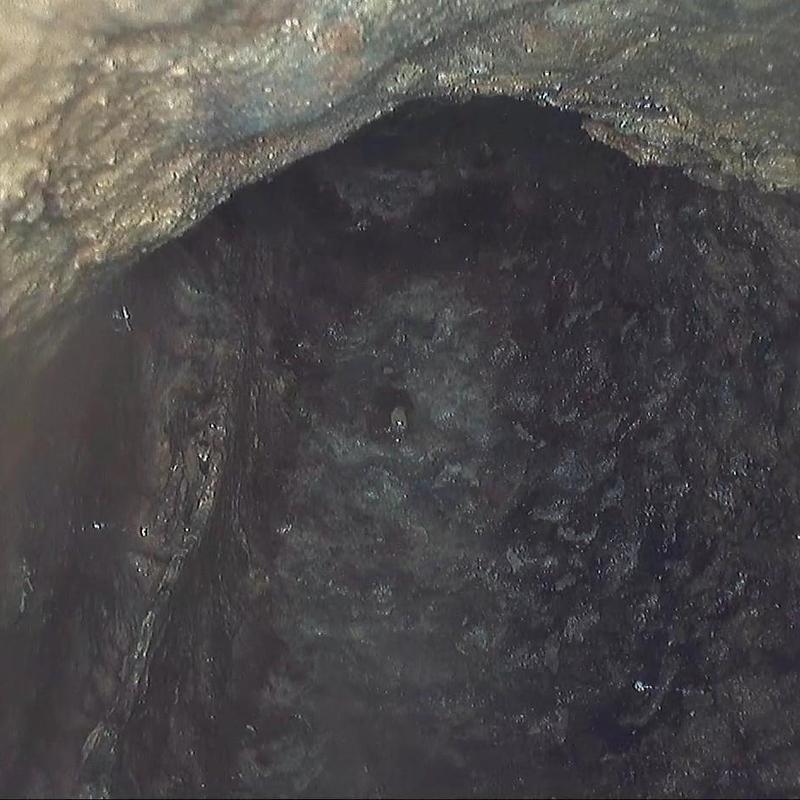 Sewer line interior showing root intrusion blockage