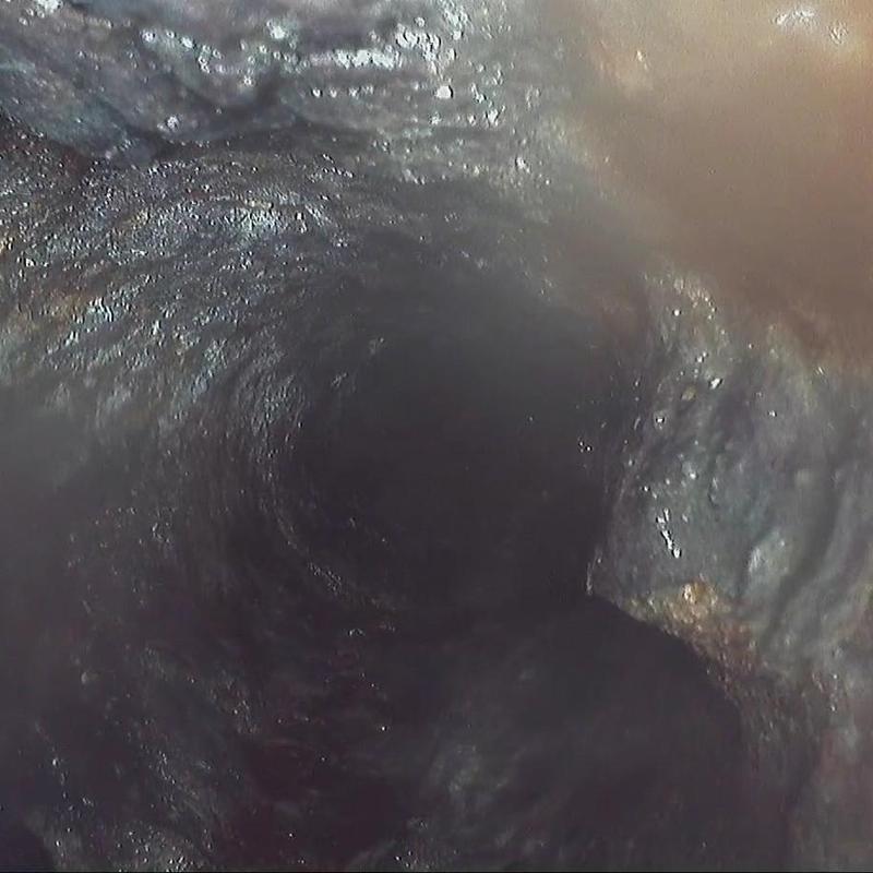 Sewer line interior showing severe root intrusion damage
