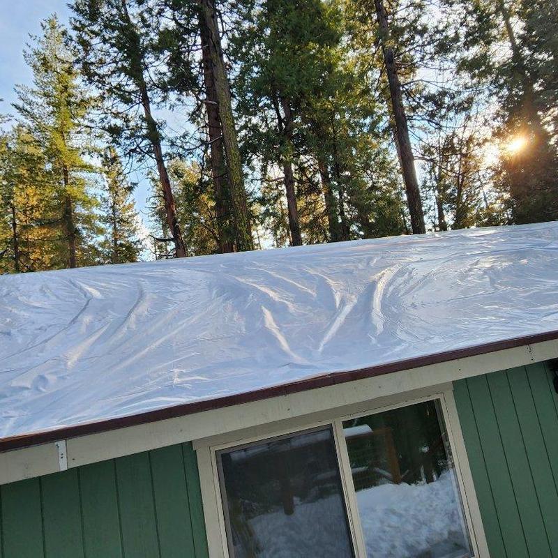 Asphalt roof with temporary protective cover in forest setting