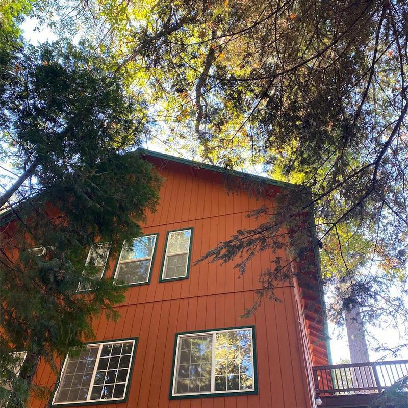 GAF asphalt roof on cabin surrounded by trees