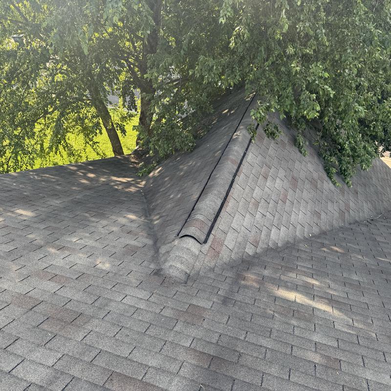 Asphalt shingle roof with ridge vent and tree shading