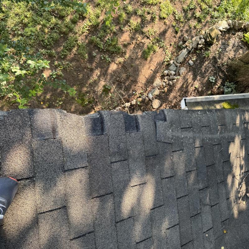 Asphalt roof shingles with hail damage and repairs visible