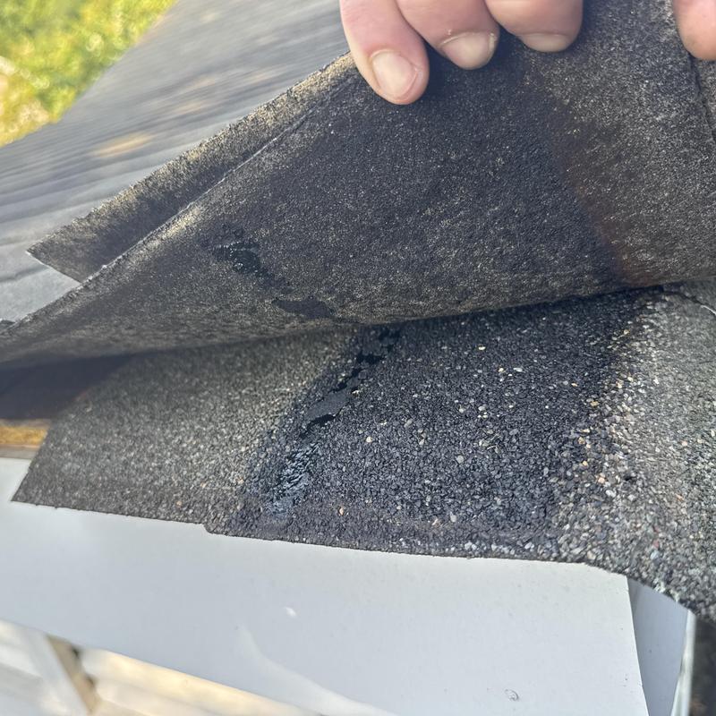 Asphalt roof shingle lifted showing underlying damage