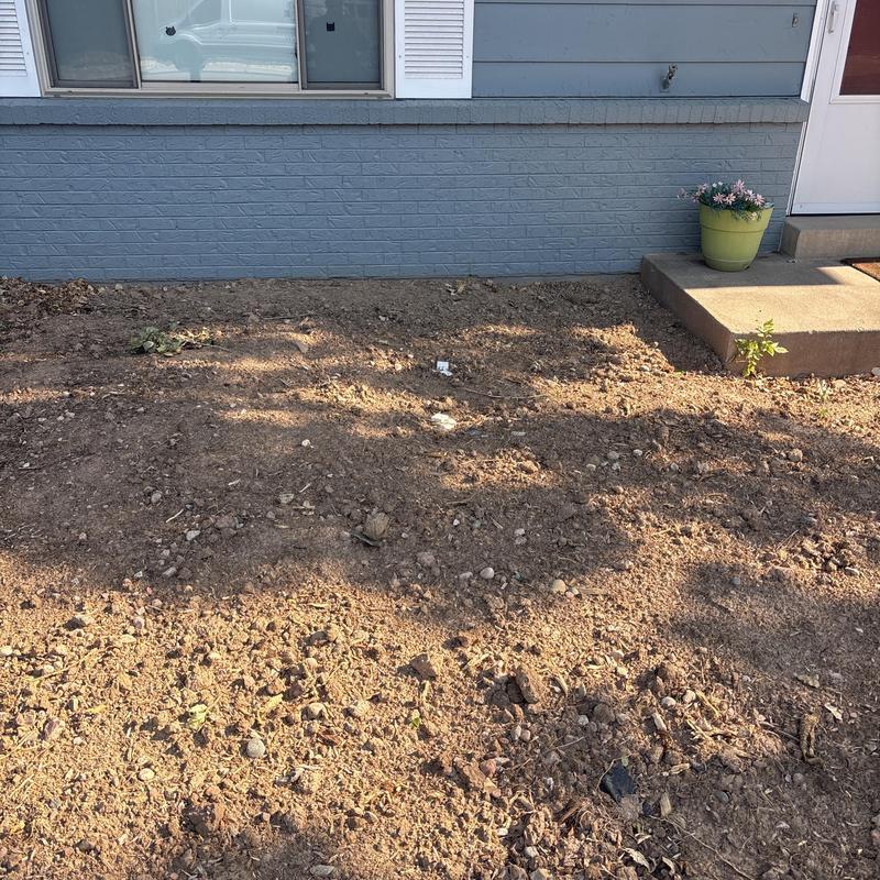 Main sewer and water line replacement site exterior Main sewer and water line replacement site exterior