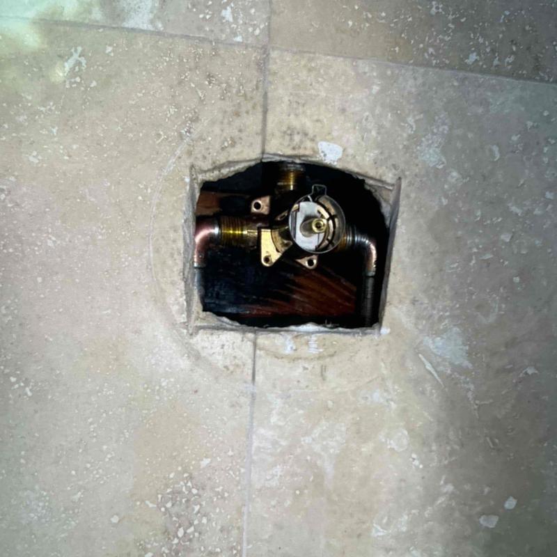 Moen Posi-temp shower valve with copper piping