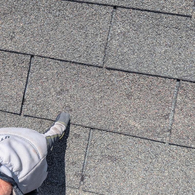 Asphalt roof shingles showing damage spots