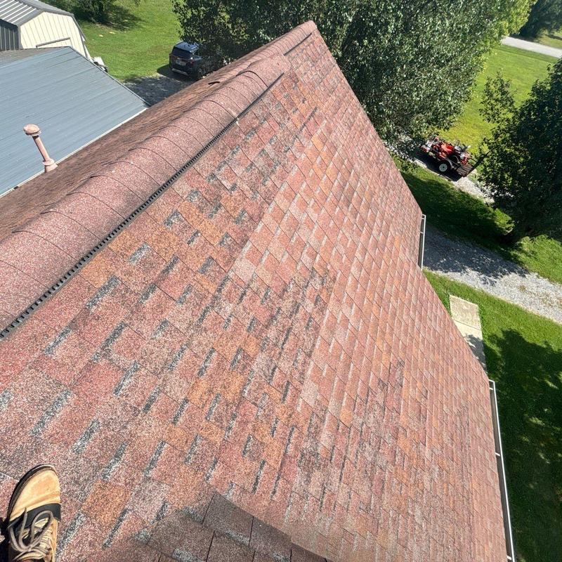 Asphalt shingle roof with severe granule loss on front slopes