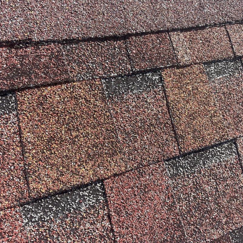 Asphalt shingle roof with severe granule loss