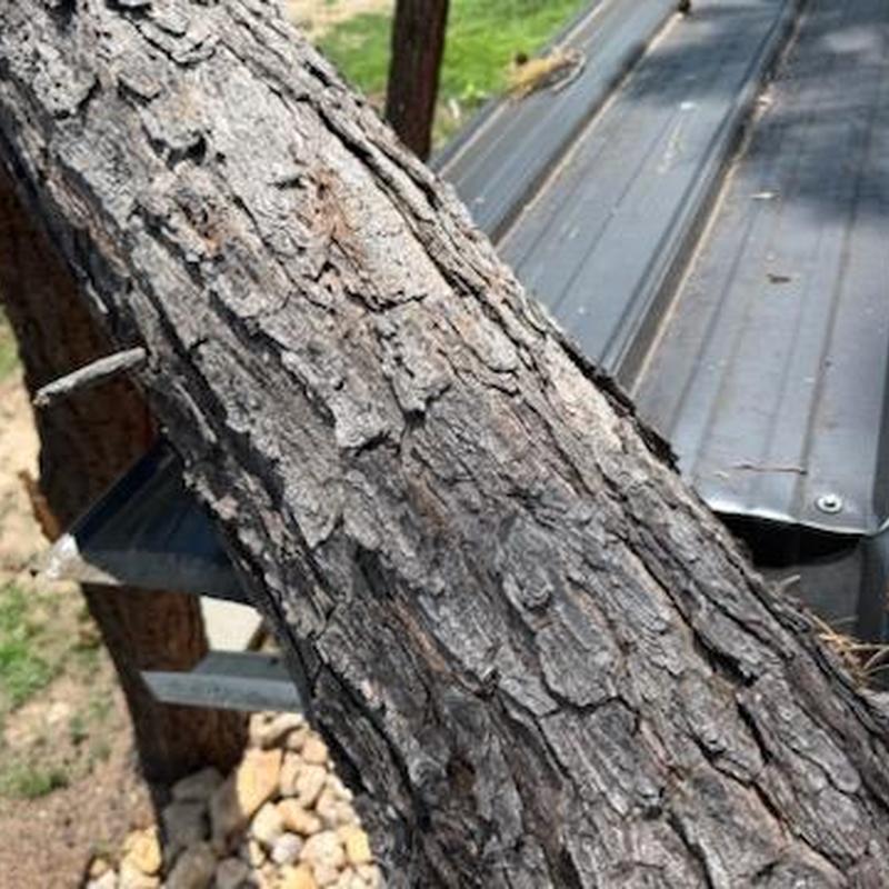 Metal roof panels damaged by fallen tree trunk Metal roof panels damaged by fallen tree trunk