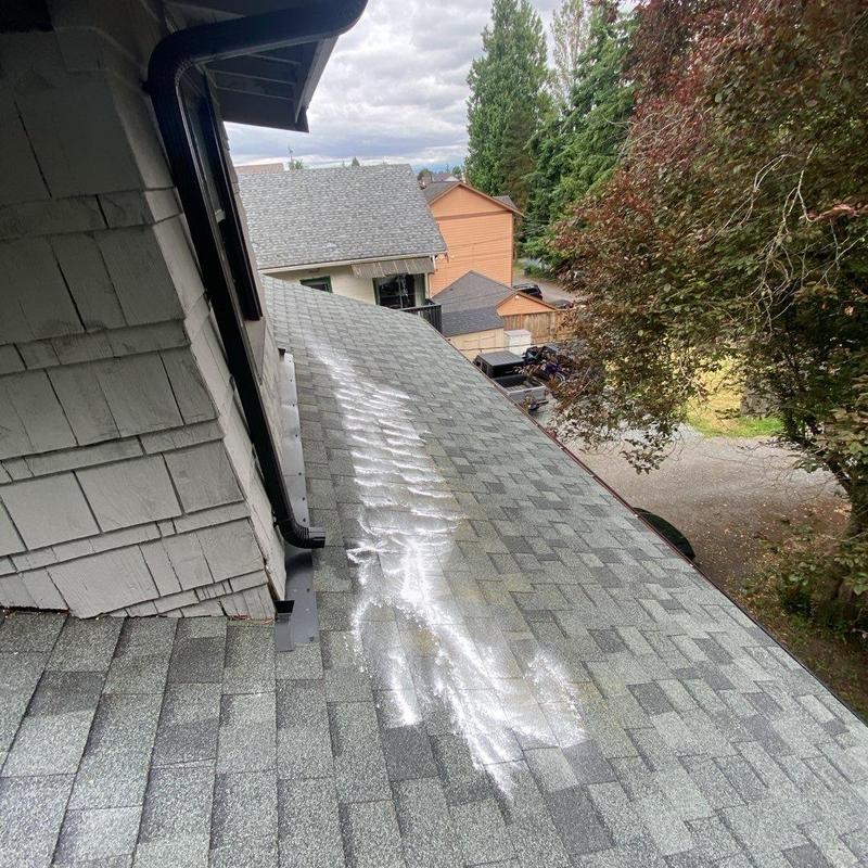 Roof moss treatment applied on shingle roof