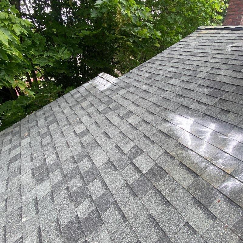 Asphalt shingle roof with moss treatment and debris removal