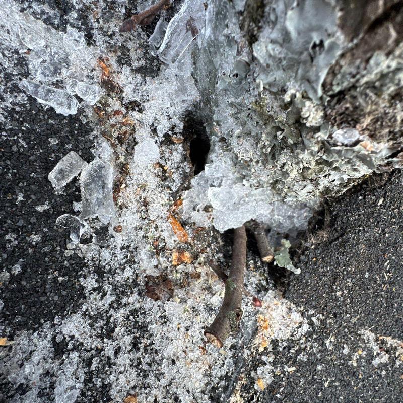 Roof shingle edge with ice and frost buildup