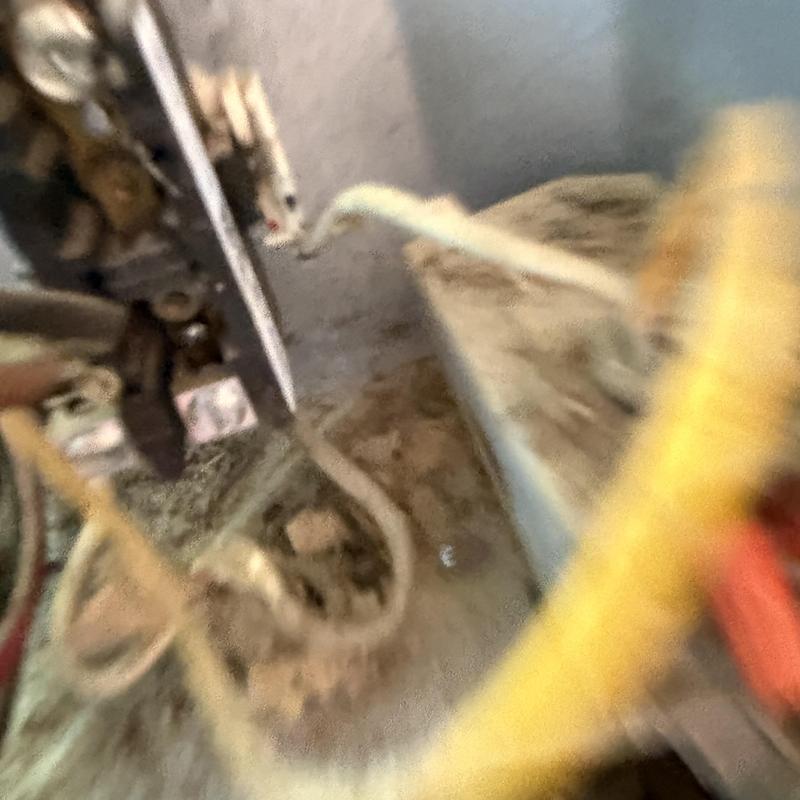 AC capacitor board wiring in outdoor HVAC unit AC capacitor board wiring in outdoor HVAC unit