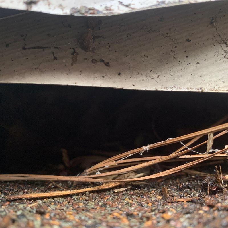 Roof shingles with debris and possible damage gap