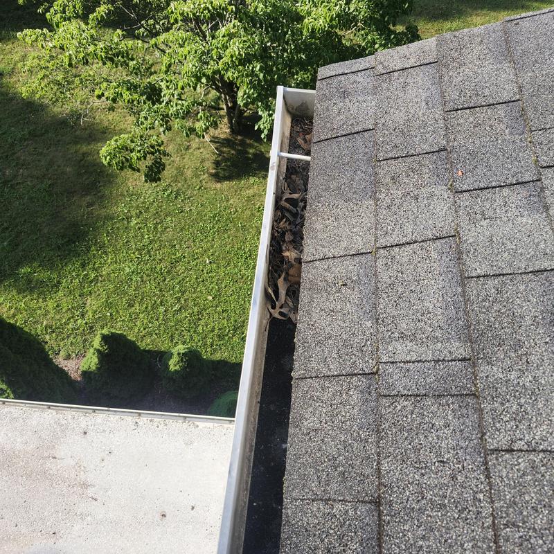 Gutter with leaves and debris near roof shingles Gutter with leaves and debris near roof shingles