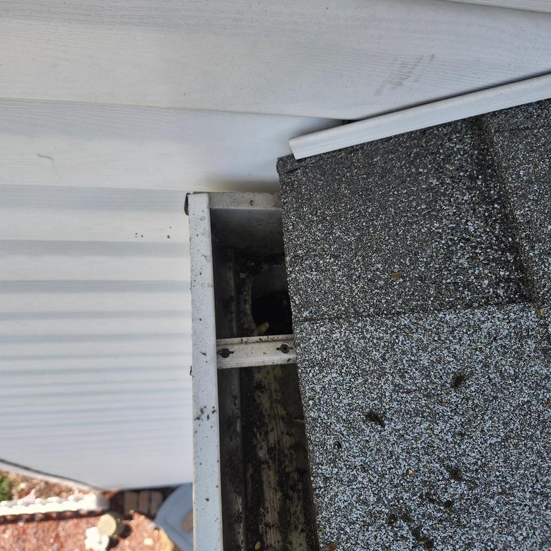 Gutter cleaning on roof edge with asphalt shingles Gutter cleaning on roof edge with asphalt shingles