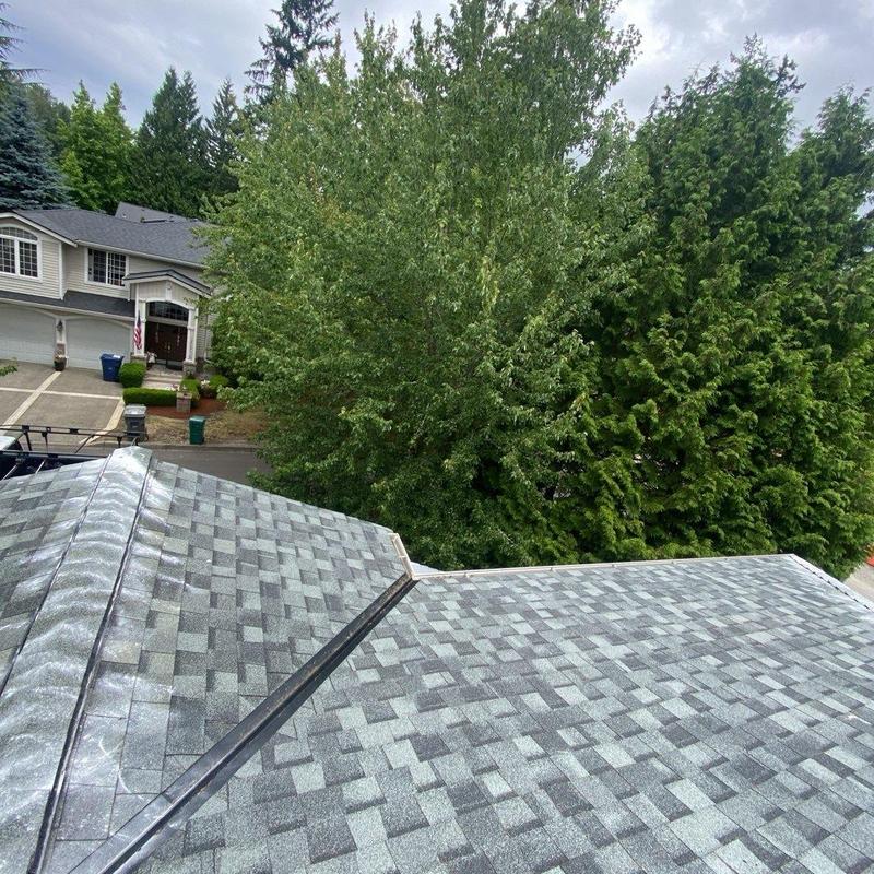 Roof shingles after moss treatment and debris removal
