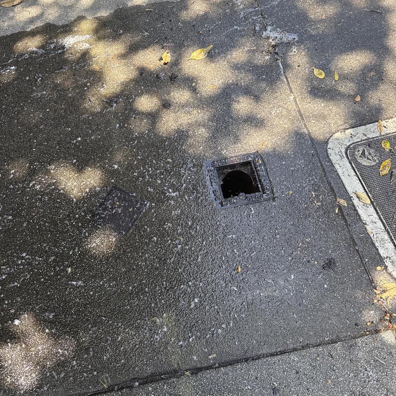 Sewer drain opening on wet concrete sidewalk