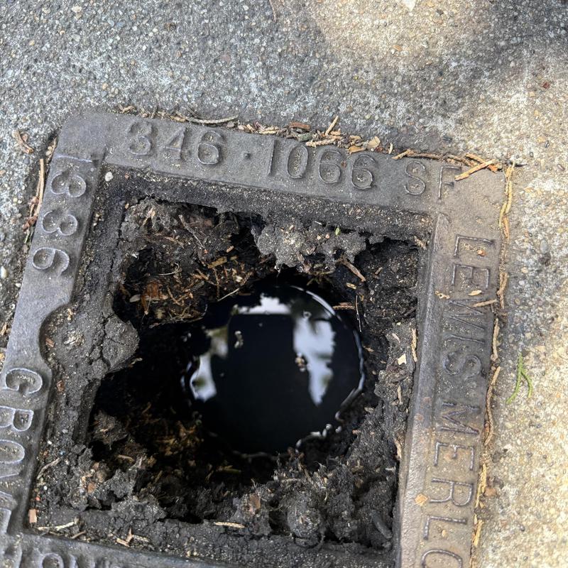 Sewer drain access hole with debris and water buildup